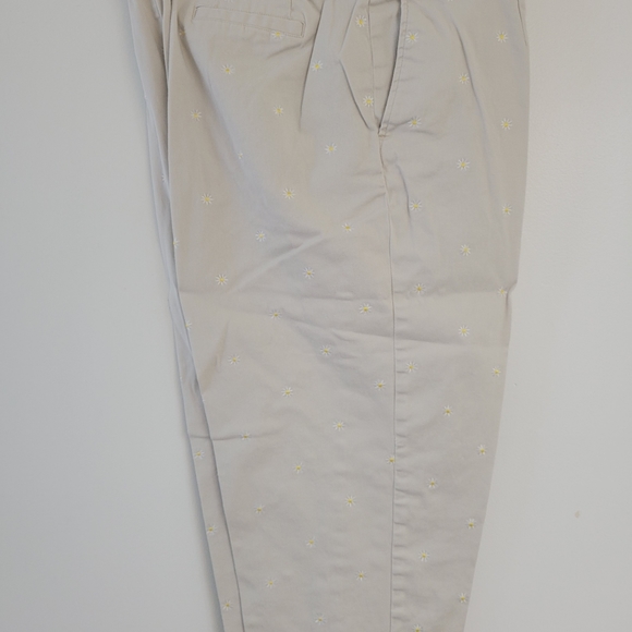 Briggs New York Capris 22W Flowers - Picture 3 of 8